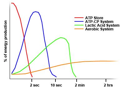 What are energy systems?﻿ - Strong Links Fitness