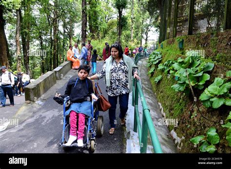 A little incapacitated tourist with her family for visit Darjeeling Zoo Stock Photo - Alamy