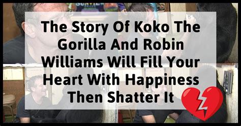 The Story Of Koko The Gorilla And Robin Williams Will Fill Your Heart With Happiness Then Shatter it