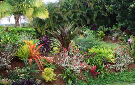 Tropical Flower Garden Design Ideas