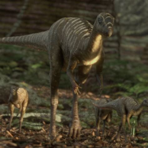 Jeholosaurus Pictures & Facts - The Dinosaur Database