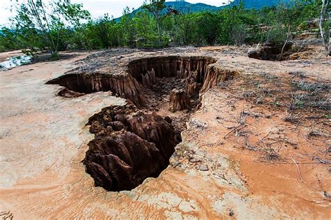 What Is Deforestation? - WorldAtlas