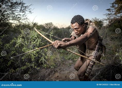 San Bushmen hunting editorial stock photo. Image of concerntration - 98134353