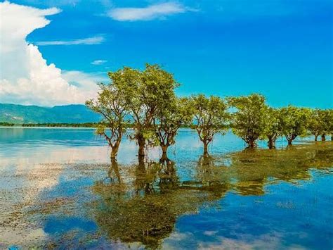 Tanguar Haor (Sunamganj) - 2020 All You Need to Know Before You Go ...