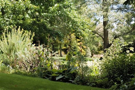 Auckland garden ranks among finest in the world - NZ Herald