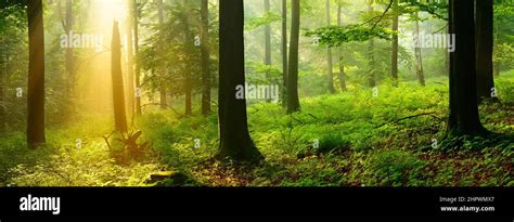 Niedersaechsisches bergland hi-res stock photography and images - Alamy