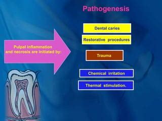 Endo – Perio lesions.ppt