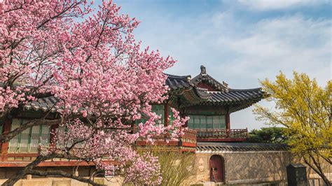 When is the Best Time to Visit South Korea? | Jacada Travel