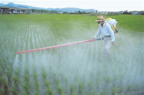 Insecticide | Description, Modes of Action, Types, & Environmental Impacts | Britannica