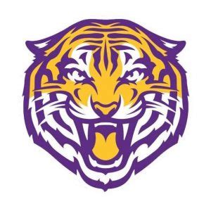 Tin Roof Brewing Co. to release officially licensed LSU beer | BeerPulse