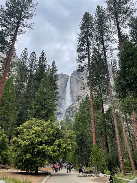 Yosemite National Park - Awe-inspiring Places