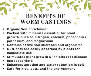 Benefits of worm castings | Vermicomposting, Vermiculture, Worm farm