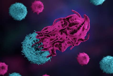 Reinvigorating Terminally Exhausted T Cells Could Improve Cancer Immunotherapy