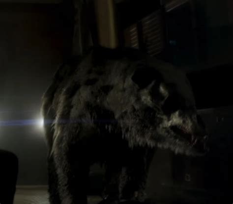 Mutant Bear (Annihilation) | Non-alien Creatures Wiki | Fandom