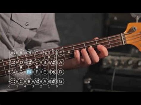 Open Notes 4 String Bass Guitar - Acoustic Detin Tolioy Full HD