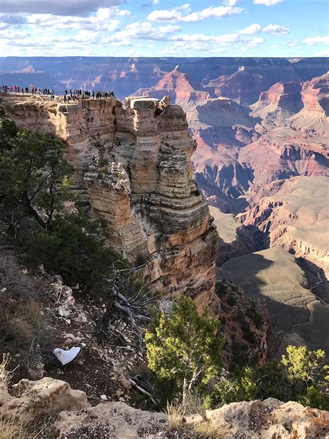 Mather Point On The South Rim Of Grand Canyon National Park