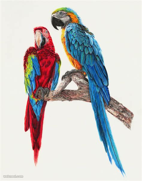 50 Beautiful Bird Paintings and Art works for your inspiration