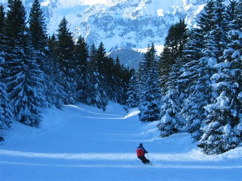 Skiing in Italian Alps | Best ski resorts, Ski resort, Travel dreams