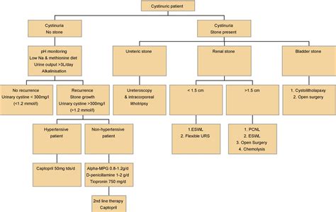 Figure 1 from Cystinuria—Diagnosis and Management | Semantic Scholar