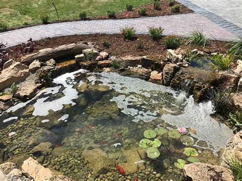 How to control Algae in your pond | Platinum Ponds & Landscaping