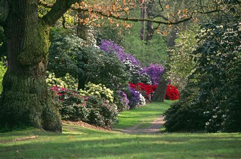 11 of the Best U.K. Royal Gardens