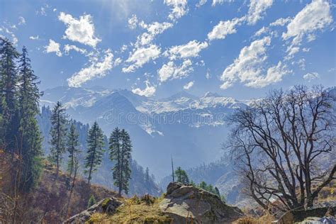 Tosh, Parvati Valley , India Stock Photo - Image of wilderness, valley ...