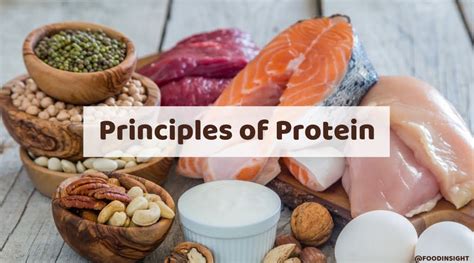 Nutrition 101 Video Series: The Principles of Protein – Food Insight