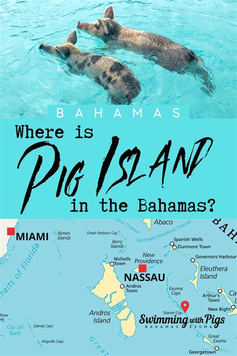 Where is Pig Island in the Bahamas? | Bahamas travel, Bahamas travel guide, Pig island bahamas
