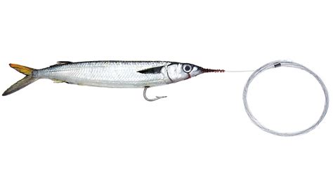 Baitmasters Mono Rigged Single Hook Ballyhoo - MiamiFishing.com | Miss ...