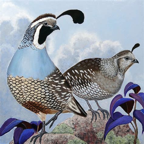 Cloudy California Quail Painting by Ande Hall - Fine Art America