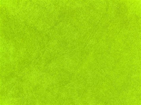 Light green velvet fabric texture used as background. Empty light green fabric background of ...