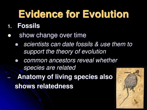 Observation Gather Information Hypothesis Experiment Conclusion - ppt ...