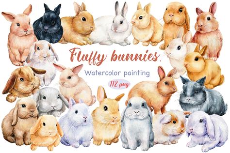 Fluffy bunnies. Watercolor painting | Animal Illustrations ~ Creative ...