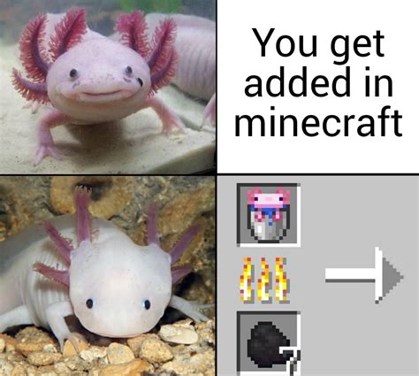 Minecraft Axolotl Girl Memes | Images and Photos finder