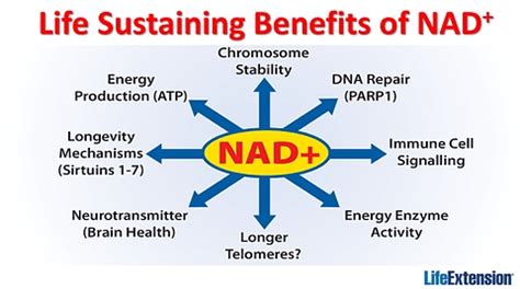 NAD+ Supplements | ProHealth Longevity