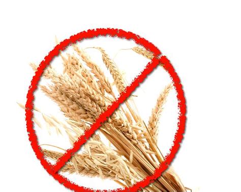 Wheat Allergy Symptoms, Causes, Diagnosis and Treatment - Natural Health News