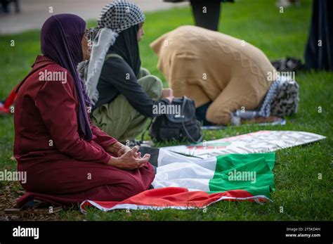 Pro-Palestinian demonstration rally for Israel-Gaza cease-fire at Freedom Plaza. Washington DC ...