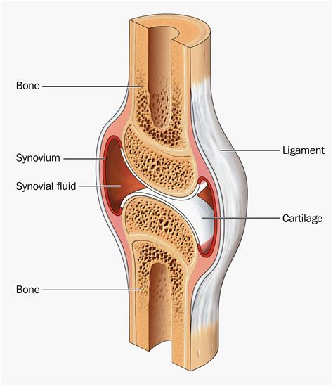 Arthritis Surgery Fort Worth, TX - The Hand to Shoulder Center