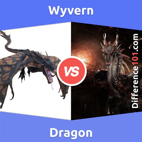 Dragon vs. Wyvern: 6 Key Differences, Pros & Cons, Similarities ...