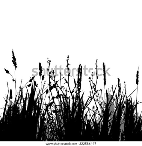 Background Grass Silhouette Vector Stock Vector (Royalty Free) 322586447