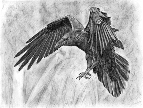 raven drawing - Google'da Ara | Tattoo ideas | Pinterest | Ravens, Tattoo and Viking tattoos