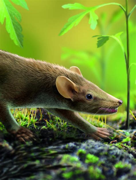 Prehistoric mammal likely suffered from hair disease | (e) Science News