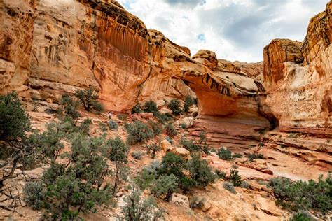 7 STUNNING Hikes at CAPITOL REEF NATIONAL PARK