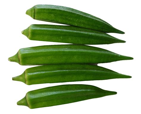 Okra PNG Image | Okra images, Okra, Food illustrations