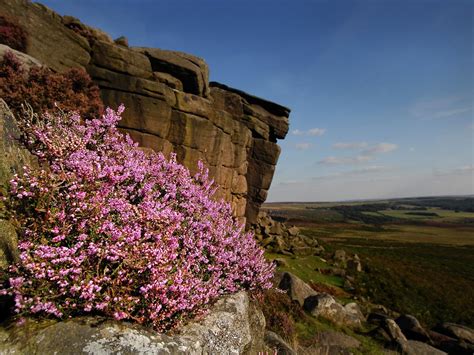 Peak District National Park visitors surge despite plea to 'think carefully' before travelling ...