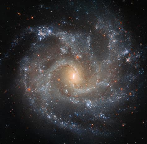 NASA Image of the Day Gallery | Galaxy images, Hubble images, Nasa hubble