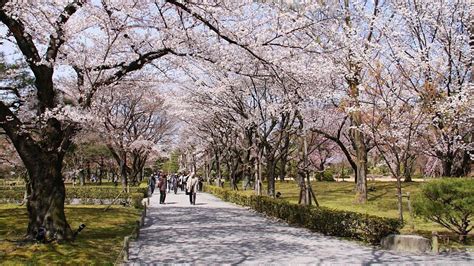 Nijo Castle (Nijojo) - Kyoto Travel