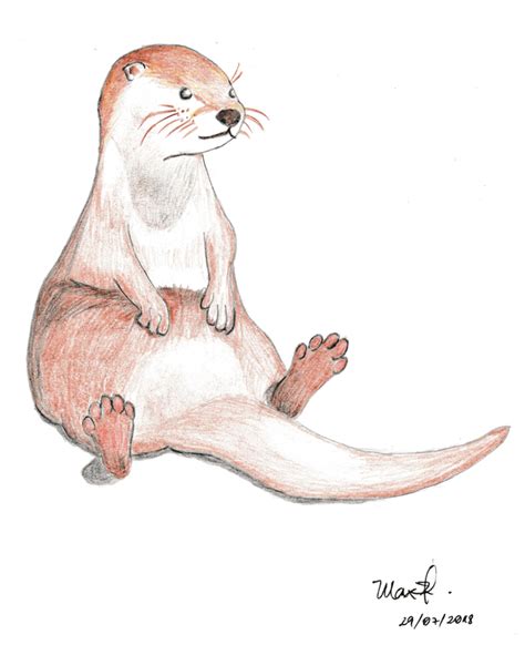 An otter drawing I made for a friend! : r/Otters