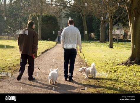 Men Walking Dogs Stock Photos & Men Walking Dogs Stock Images - Alamy