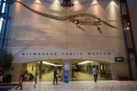 Milwaukee Public Museum Reviews | U.S. News Travel